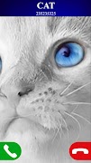 برنامه‌نما بازی تماس جعلی گربه عکس از صفحه