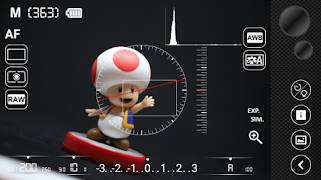 Camera Pro Control imagem de tela 4