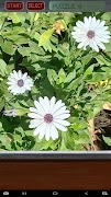 Flower Puzzle Ekran Görüntüsü 5