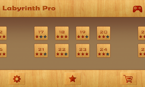Labyrinth Pro 스크린샷 5