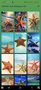 Starfish Cute Wallpaper HD スクリーンショット 6