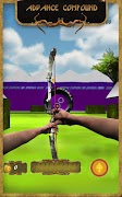 Archery Evolution ảnh chụp màn hình 7