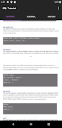 SQL Offline Tutorial Screenshot 7