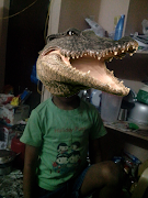 Animal Face Frames 截圖 4