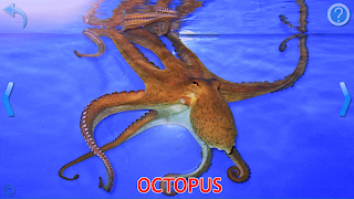 Kids Learn About Animals screenshot 2