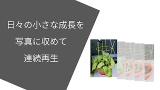 シンプル観察日記 ภาพหน้าจอ 5