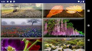 Bonita flor captura de pantalla 5