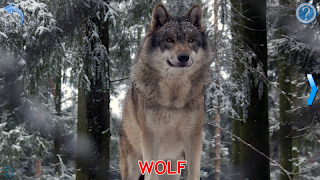 برنامه‌نما Animals for Kids عکس از صفحه