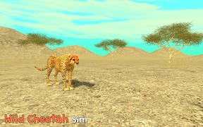 Wild Cheetah Sim 3D poster