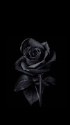 Black Wallpapers penulis hantaran