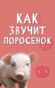 Звуки свиньи captura de pantalla 2