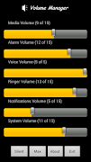 Volume Manager โปสเตอร์