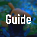 Pro Guide Preview