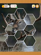 Hex Solitaire スクリーンショット 7