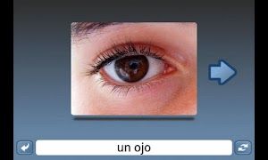 NounStar Language Study Screenshot 2