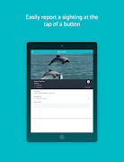 Hector's Dolphin Sightings screenshot 6