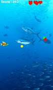 Save the Fish screenshot 1