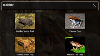 Frog Find تصوير الشاشة 2