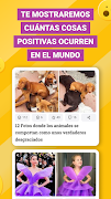 Genial.guru screenshot 3