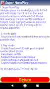 Super NumPlay ảnh chụp màn hình 5
