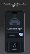Carlinkit تصوير الشاشة 4