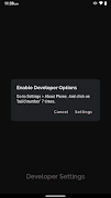 Developer Settings Ekran Görüntüsü 6