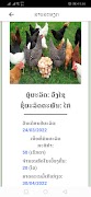LFN Mart 截圖 4