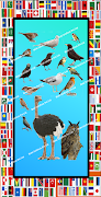 learn 72 languages - Gandham screenshot 3