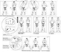 Learn Karate For Beginner syot layar 2