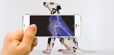 X - Ray Body scanner wallpaper Poster