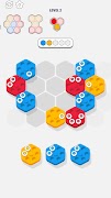 برنامهنما Hexa Gear Puzzle عکس از صفحه