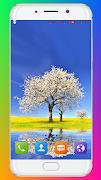 Spring Wallpaper HD 截圖 6