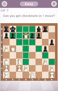 Chess Puzzles 포스터