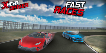 Expert Driver - Open World Dri 截圖 4