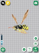 Insect 3D Reference โปสเตอร์