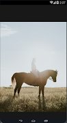 HD Material Horse screenshot 1