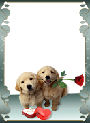 Amor Molduras imagem de tela 4
