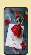 Rose Images скриншот 2