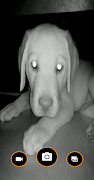 Pixel InfraRed Camera screenshot 1