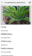 IDentifyIt Cycads اسکرین شاٹ 2