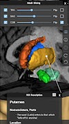 Brain Tutor 3D скриншот 4