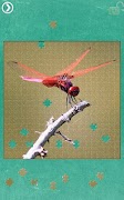 Dragonfly Jigsaw Puzzles screenshot 5
