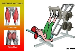 AcaDroid - Bodybuilding Guide syot layar 7