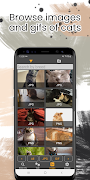 Cat Breeds скриншот 3