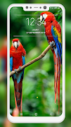 Bird Wallpaper 截圖 4