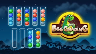 Egg Grading Puzzle poster