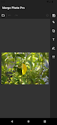 Merge Photo Pro screenshot 4