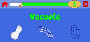 Learn: Cells screenshot 4