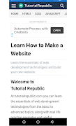 Learn Web Development : Tutorial Republic 포스터