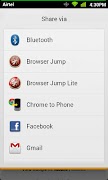 Browser Swap Lite screenshot 3